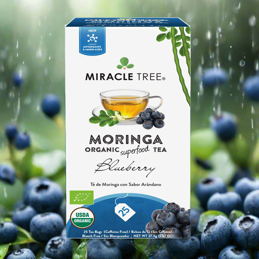🍵🫐Organic Moringa Tea|Blueberry