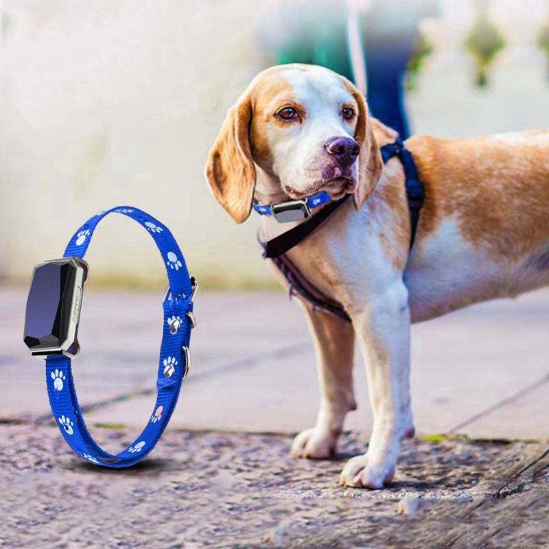 🐾📍Collar With GPS Pet Tracker