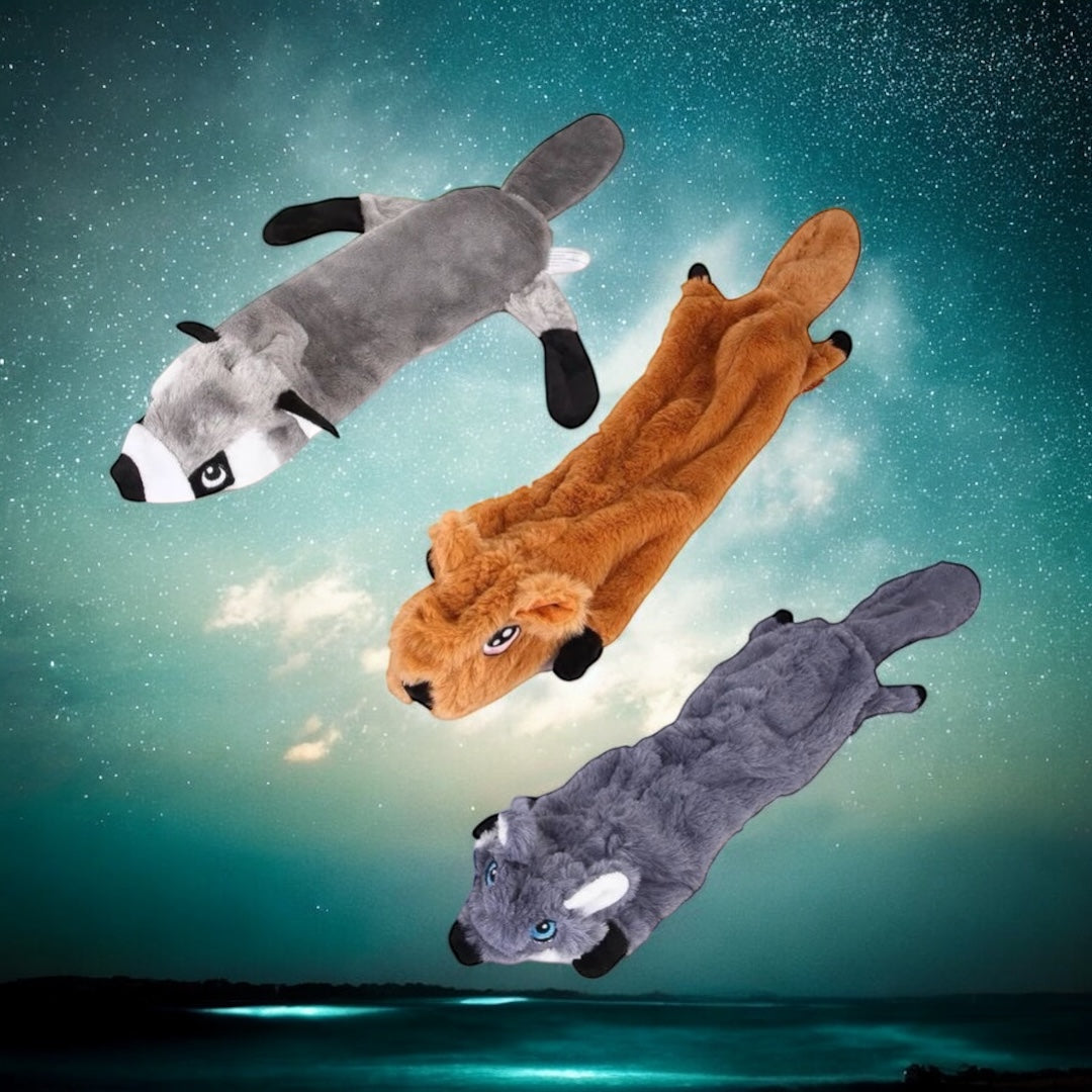 3 Assorted Dog Toys (No Stuffing)