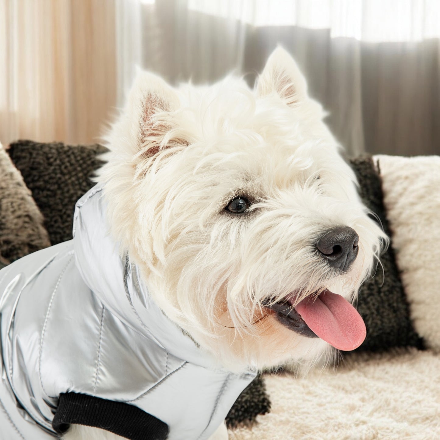 ⛈️⛄️Dog Jacket Water Resistant Winter Coat|Silver Color