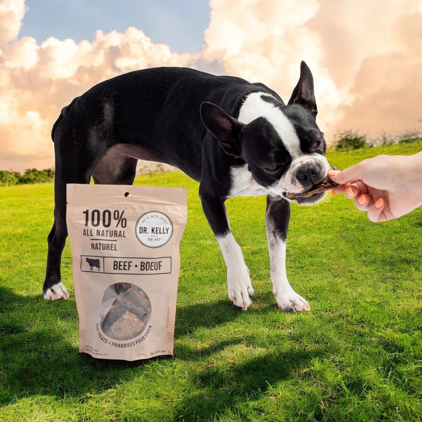 🥩100% Natural Dog Treats|Beef