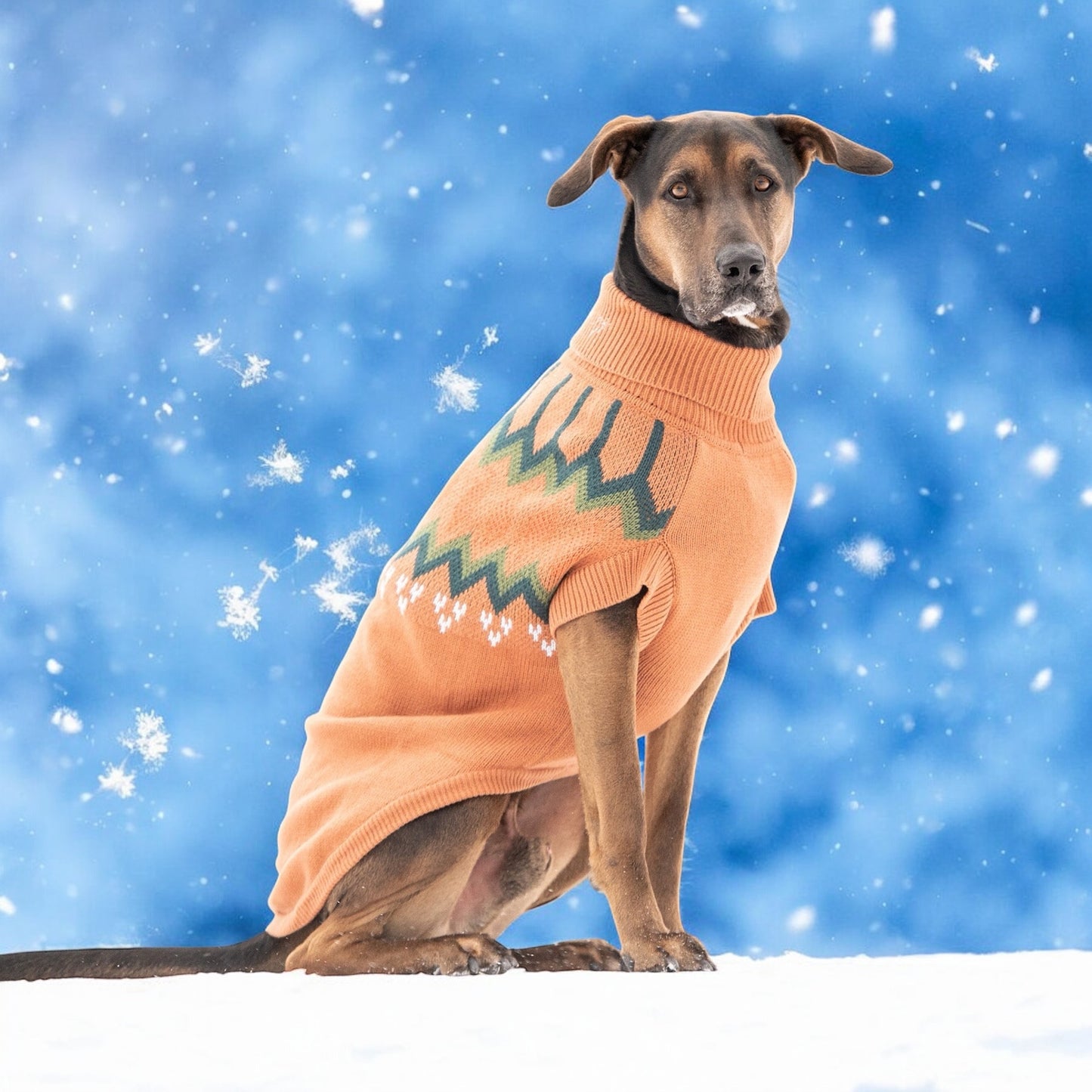 ☁️Dog Heritage Sweater|Hazel