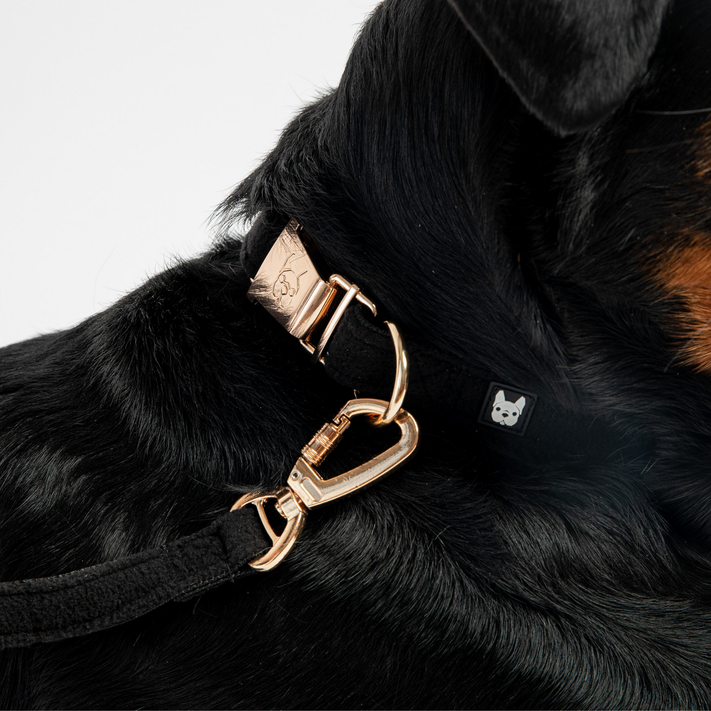 🐾🜛Aqua Fleece Waterproof Dog Collar|Durable