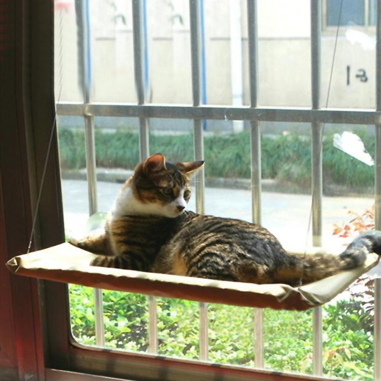 š¼šŖCat Hammock Window Bed