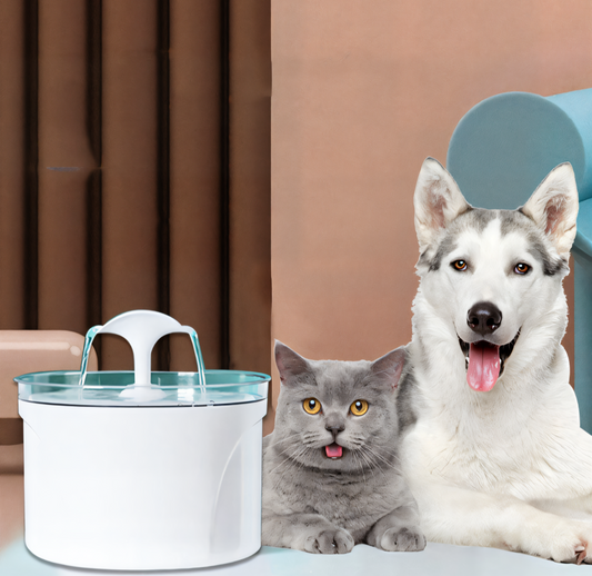 ⛲️Pet Water Fountain Electric Automatic Water Feeder