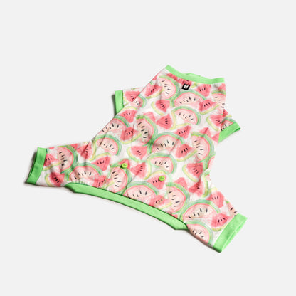 🍉 Nesoi Watermelon Fruit Dog Pajamas|Soft & Cozy Velcro Onesie
