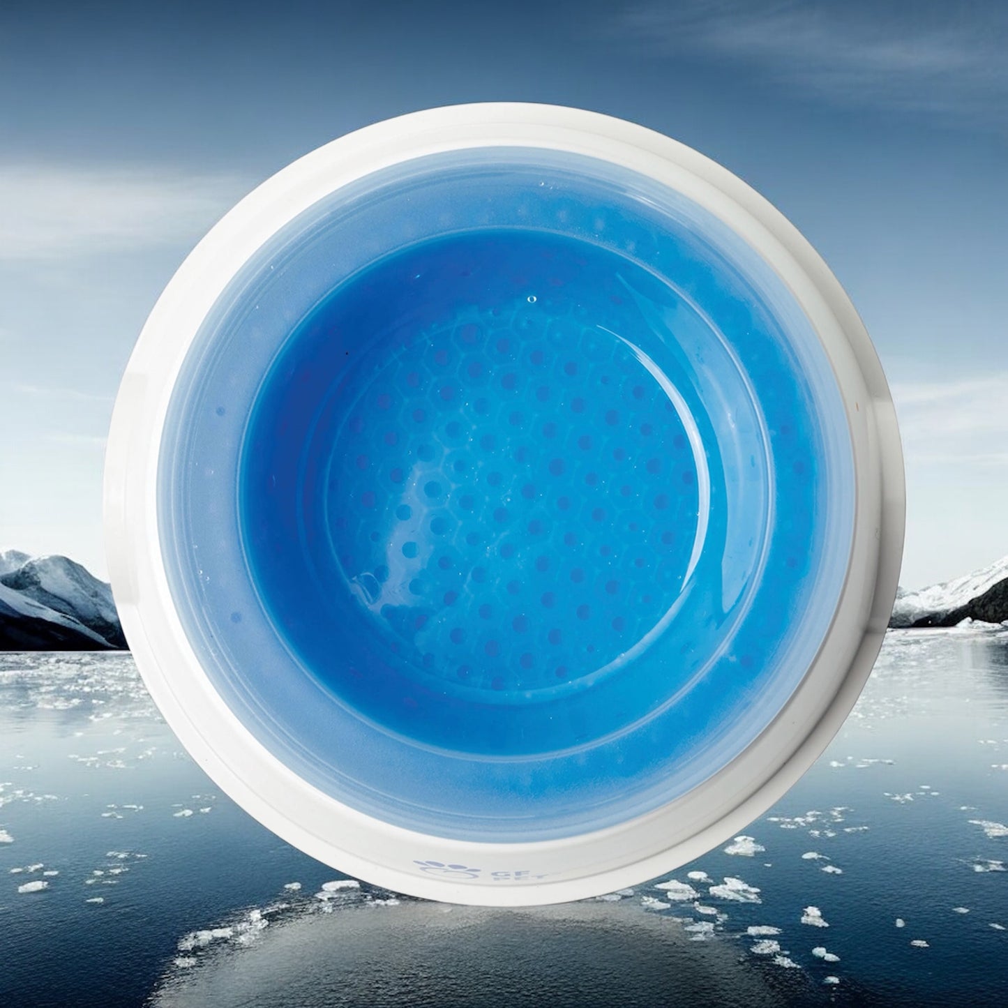 🧊Ice Bowl - Keeps Water Cool