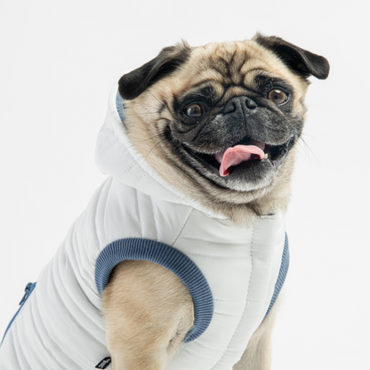 ❄️ Noah Dog Jacket Quilted Water-Resistant Winter Coat With Harness