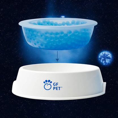 🧊Ice Bowl - Keeps Water Cool