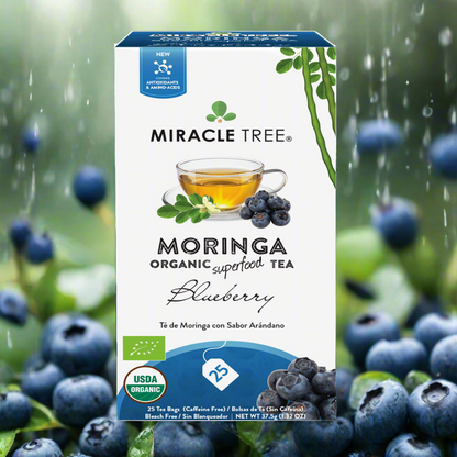 🍵🫐Organic Moringa Tea|Blueberry