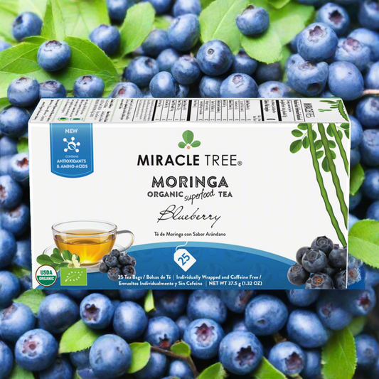 🍵🫐Organic Moringa Tea|Blueberry