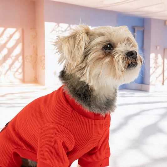 🔥Thermal Dog Pajamas|Cozy & Warm Cotton Onesie|Red Color
