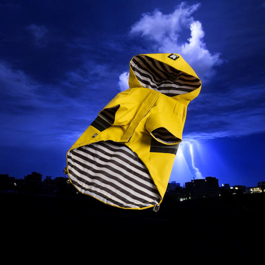 🌧️Water-Proof Dog Raincoat Yellow Vinyl Rain Jacket