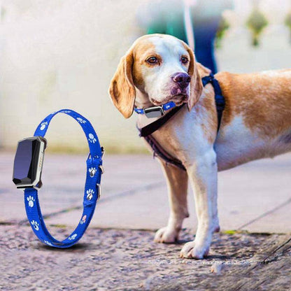 🐾📍Collar With GPS Pet Tracker