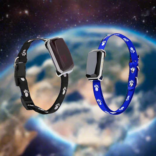 🐾📍Collar With GPS Pet Tracker