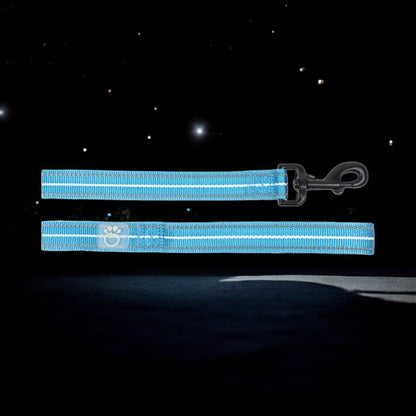 🦮Reflective Dog Leash