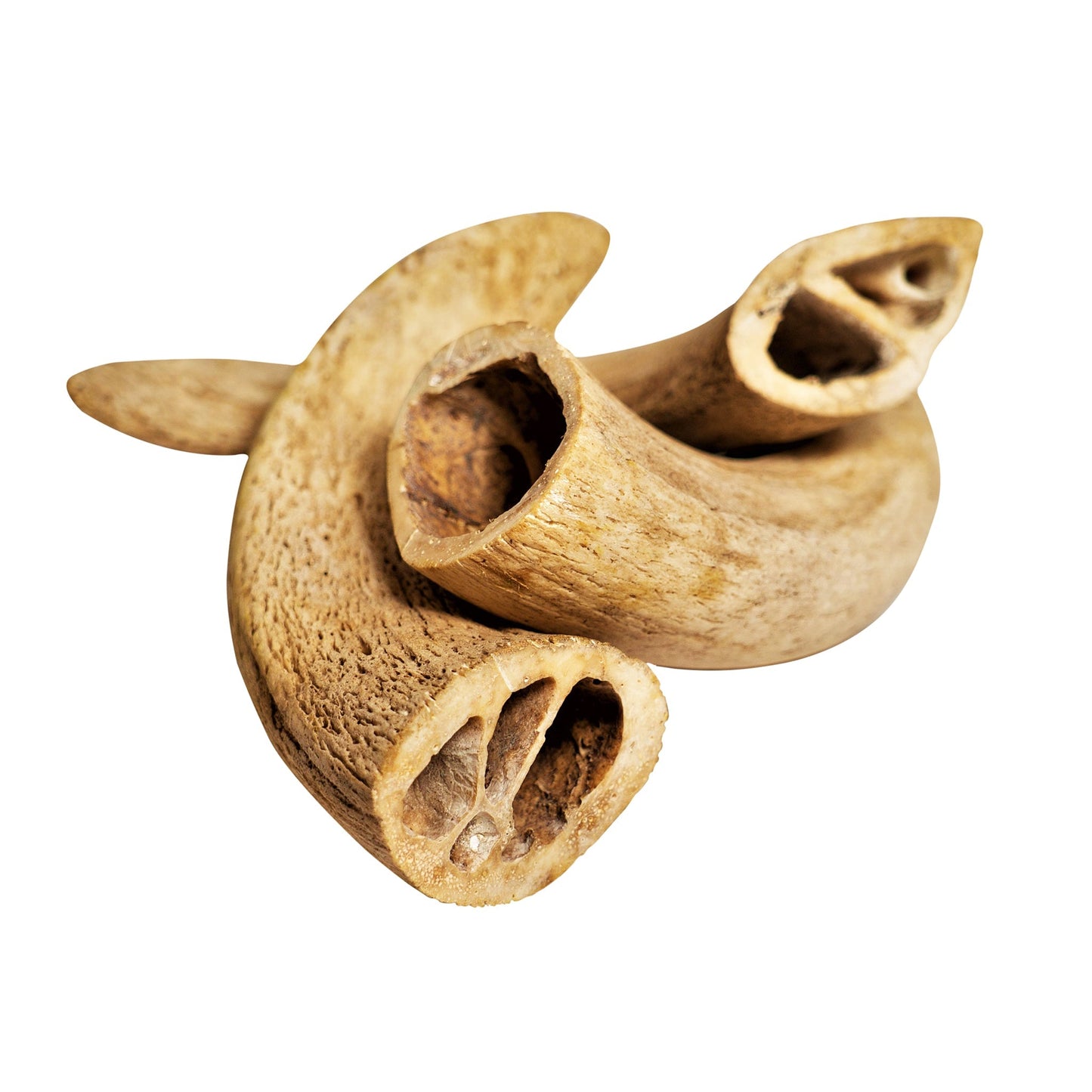 Rozie's Naturals Buffalo Horn Chews For Dogs