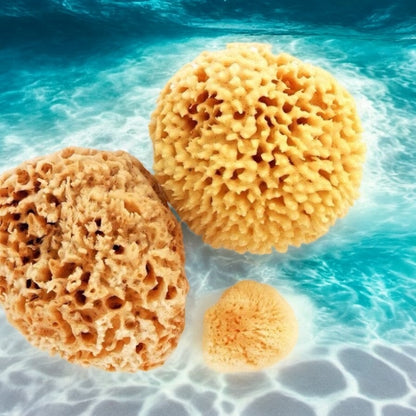 🧼🪼Natural Sea Shower Sponge|Zero Waste Organic Sponge|Plastic Free