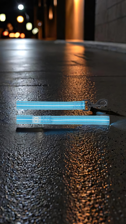🦮Reflective Dog Leash