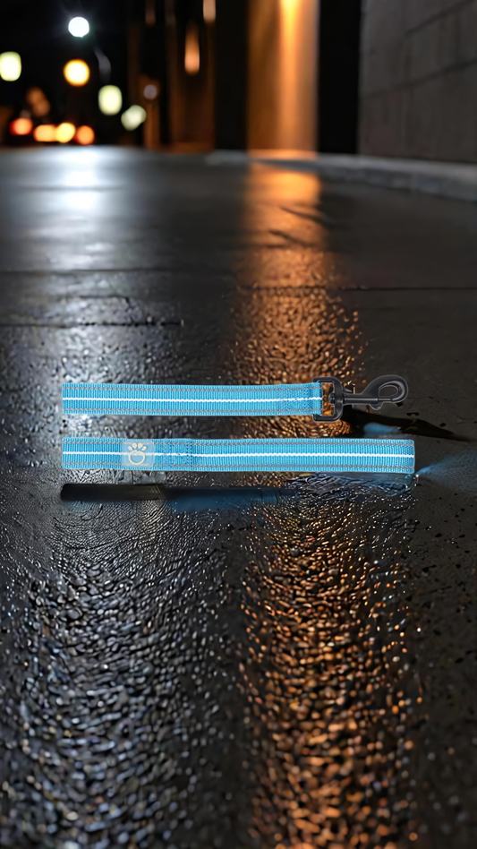 🦮Reflective Dog Leash