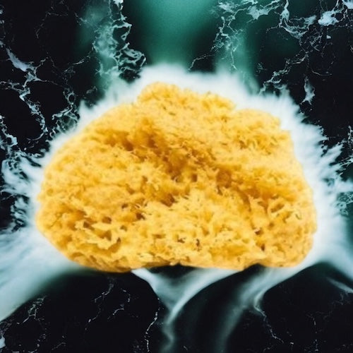 🧼🪼Natural Sea Shower Sponge|Zero Waste Organic Sponge|Plastic Free