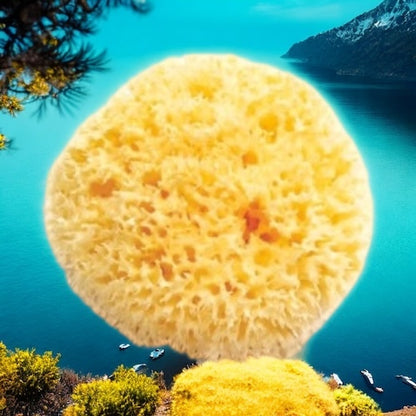 🧼🪼Natural Sea Shower Sponge|Zero Waste Organic Sponge|Plastic Free