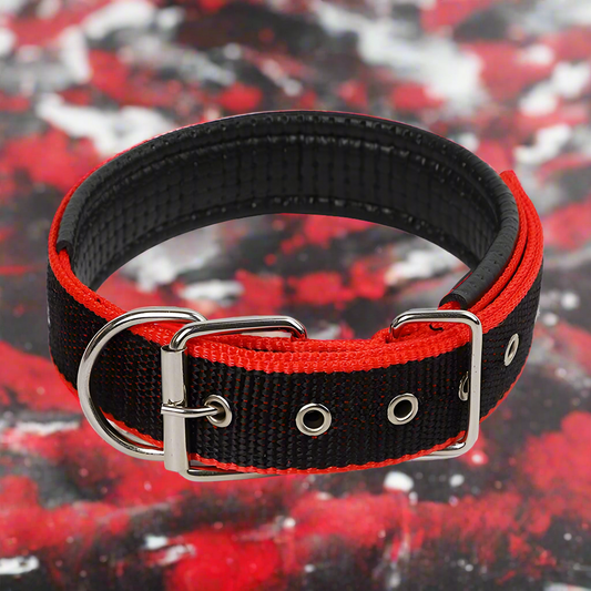 Durable Dog Collar