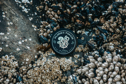 🌊Pilgrim's Pomade (Unscented)
