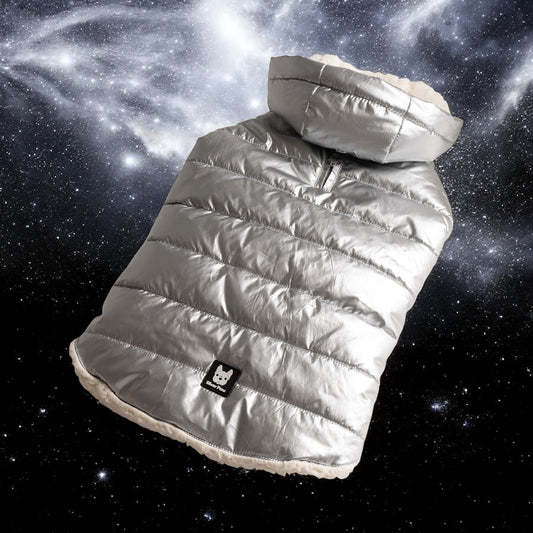 ⛈️⛄️Dog Jacket Water Resistant Winter Coat|Silver Color