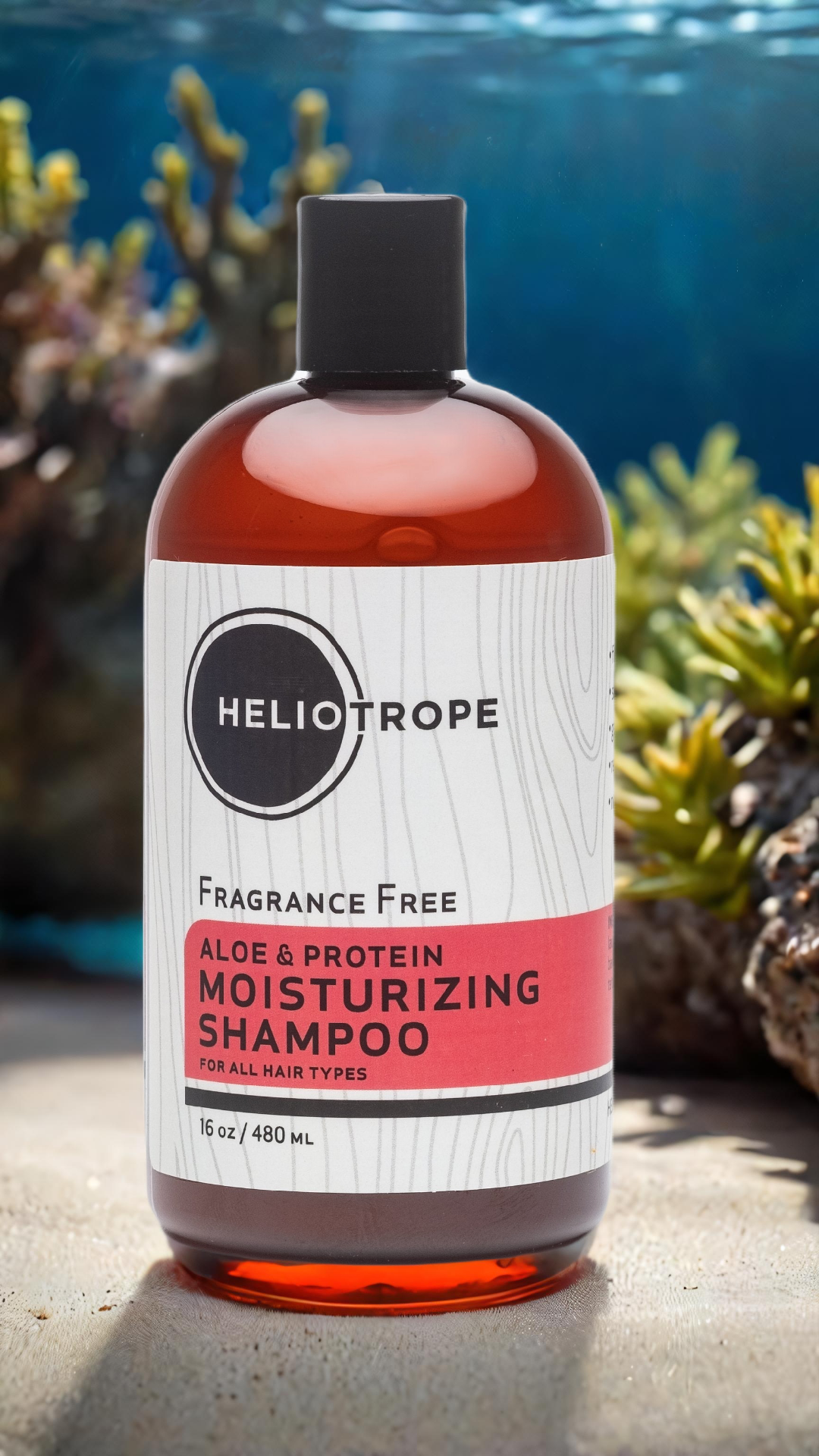 🎋🧴Aloe & Protein Moisturizing Shampoo