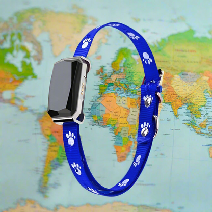 🐾📍Collar With GPS Pet Tracker