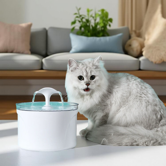 ⛲️Pet Water Fountain Electric Automatic Water Feeder