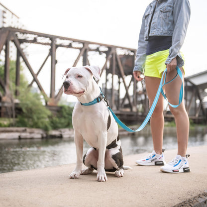 GF Pet Reflective Dog Leash