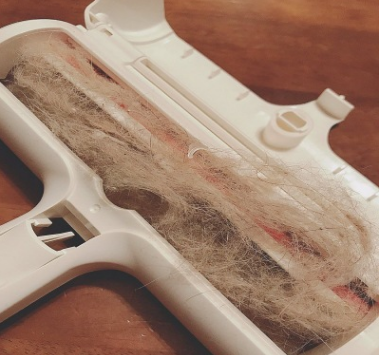 🐶Pet Hair Remover Roller