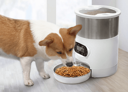 🐾🧆Pet Automatic Feeder|Remote Control Ability