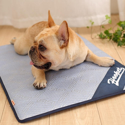 🔥❄️Anti-Heat Breathable Pet Cooling Matt
