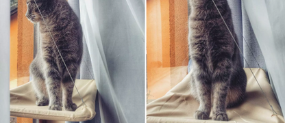 😼🪟Cat Hammock Window Bed