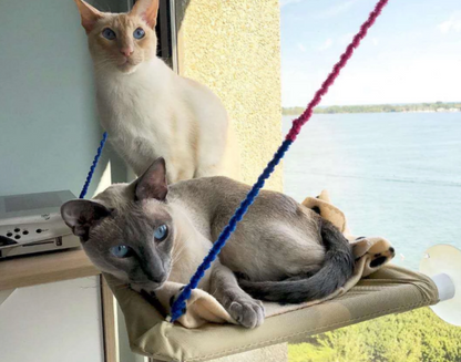 😼🪟Cat Hammock Window Bed