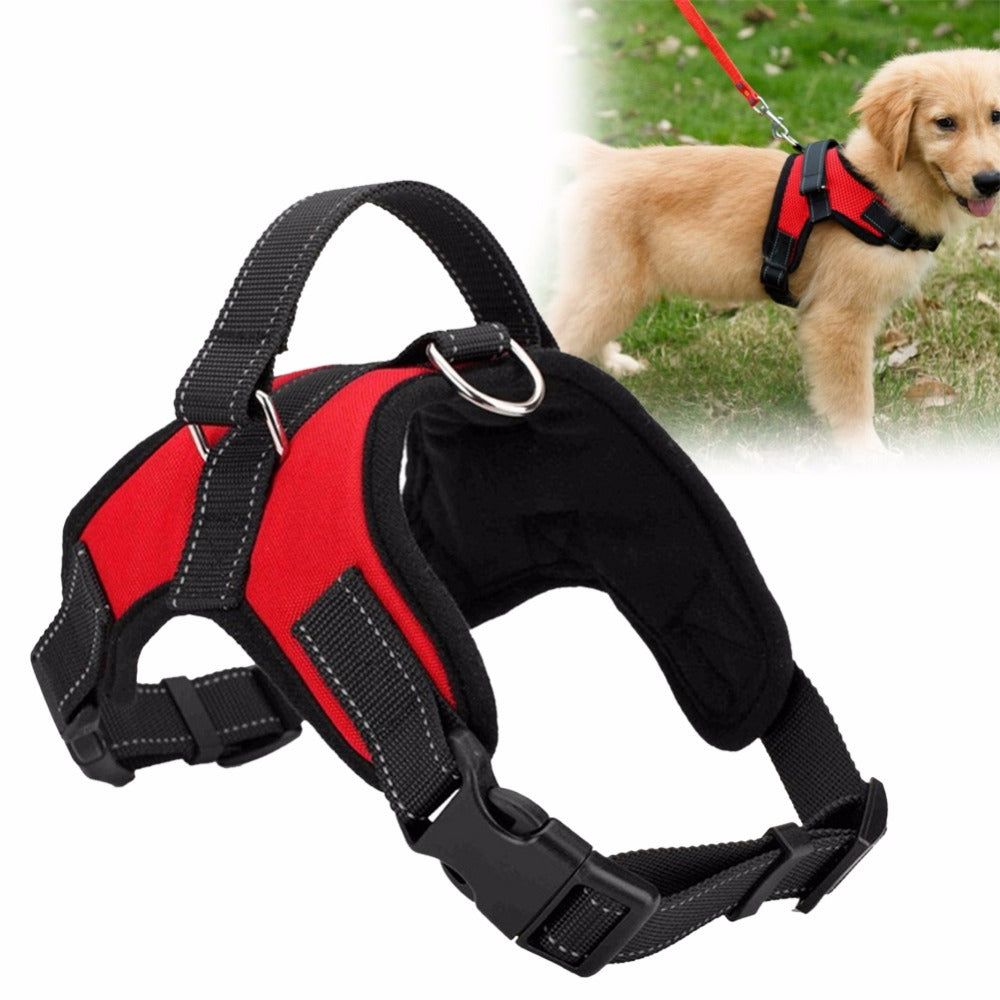 Zeus Adjustable Dog Harness Collar
