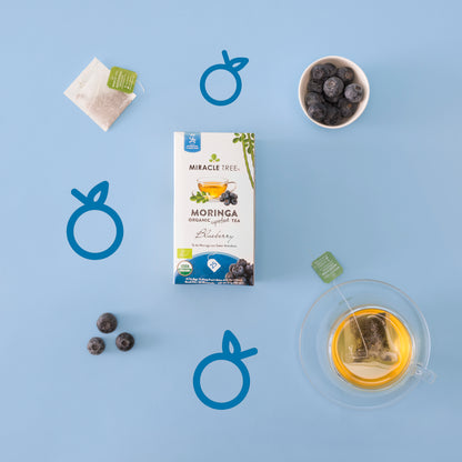 🍵🫐Organic Moringa Tea|Blueberry