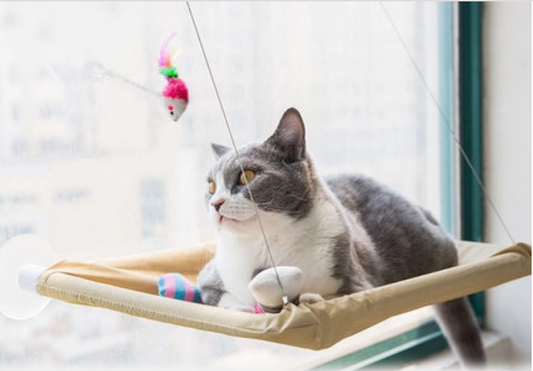 Yap & Paw Cat Peach Window Bed