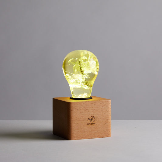 EP Light  - Yellow Hydrangea