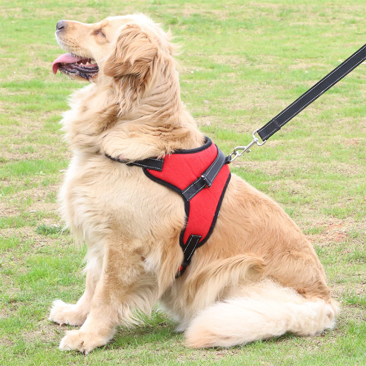 Zeus Adjustable Dog Harness Collar
