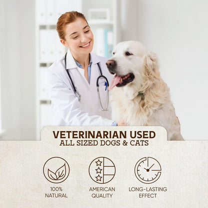 🍃Hemp Oil for Dogs & Cats