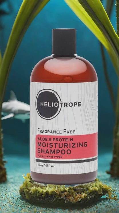 🎋🧴Aloe & Protein Moisturizing Shampoo