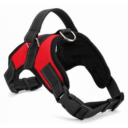Zeus Adjustable Dog Harness Collar